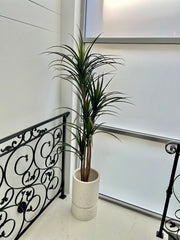 Yukka Artificial plant / pebble pot