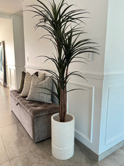 Yukka Artificial plant / pebble pot