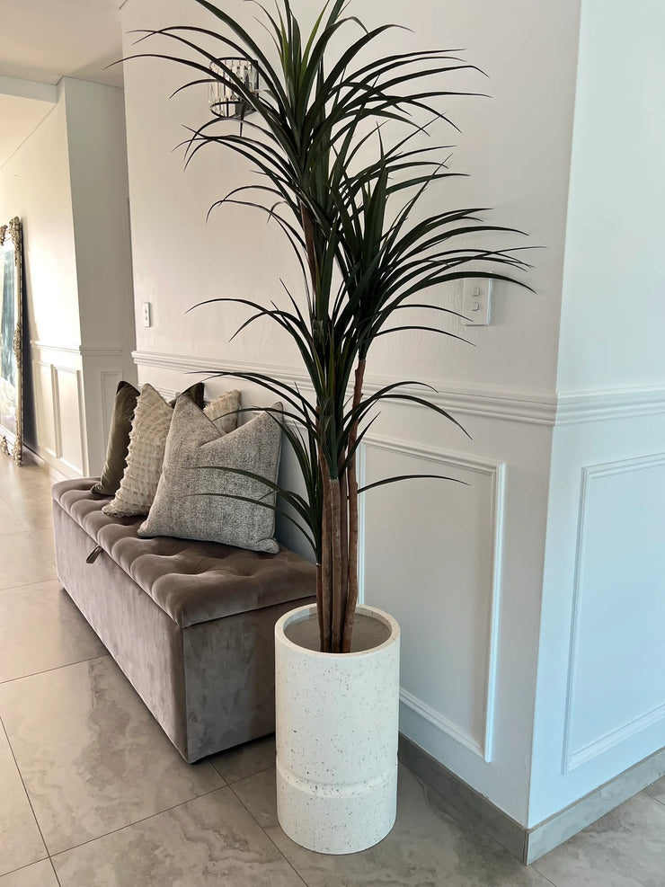 Yukka Artificial plant / pebble pot