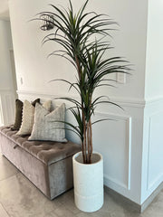 Yukka Artificial plant / pebble pot