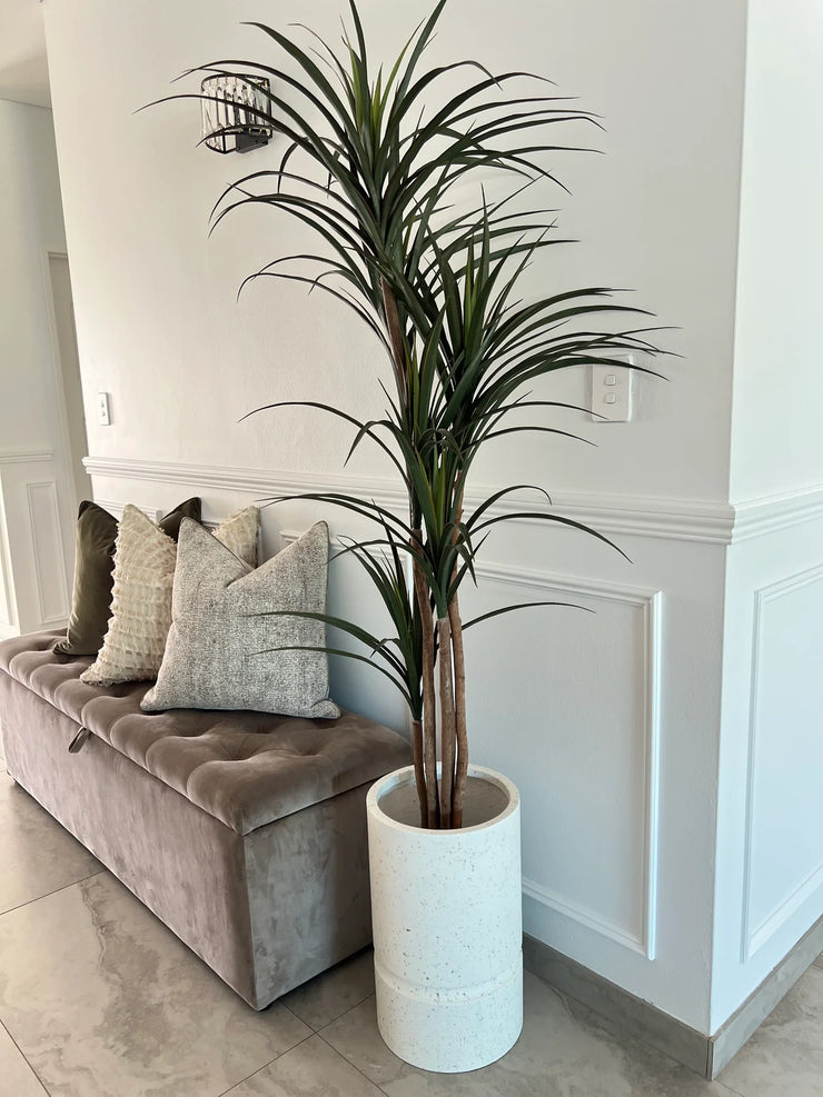 Yukka Artificial plant / pebble pot