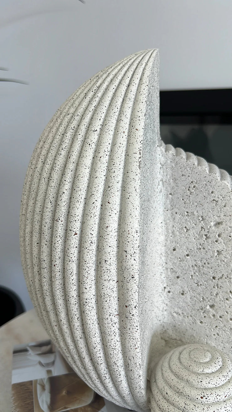 nautilus sandstone sculpture stand